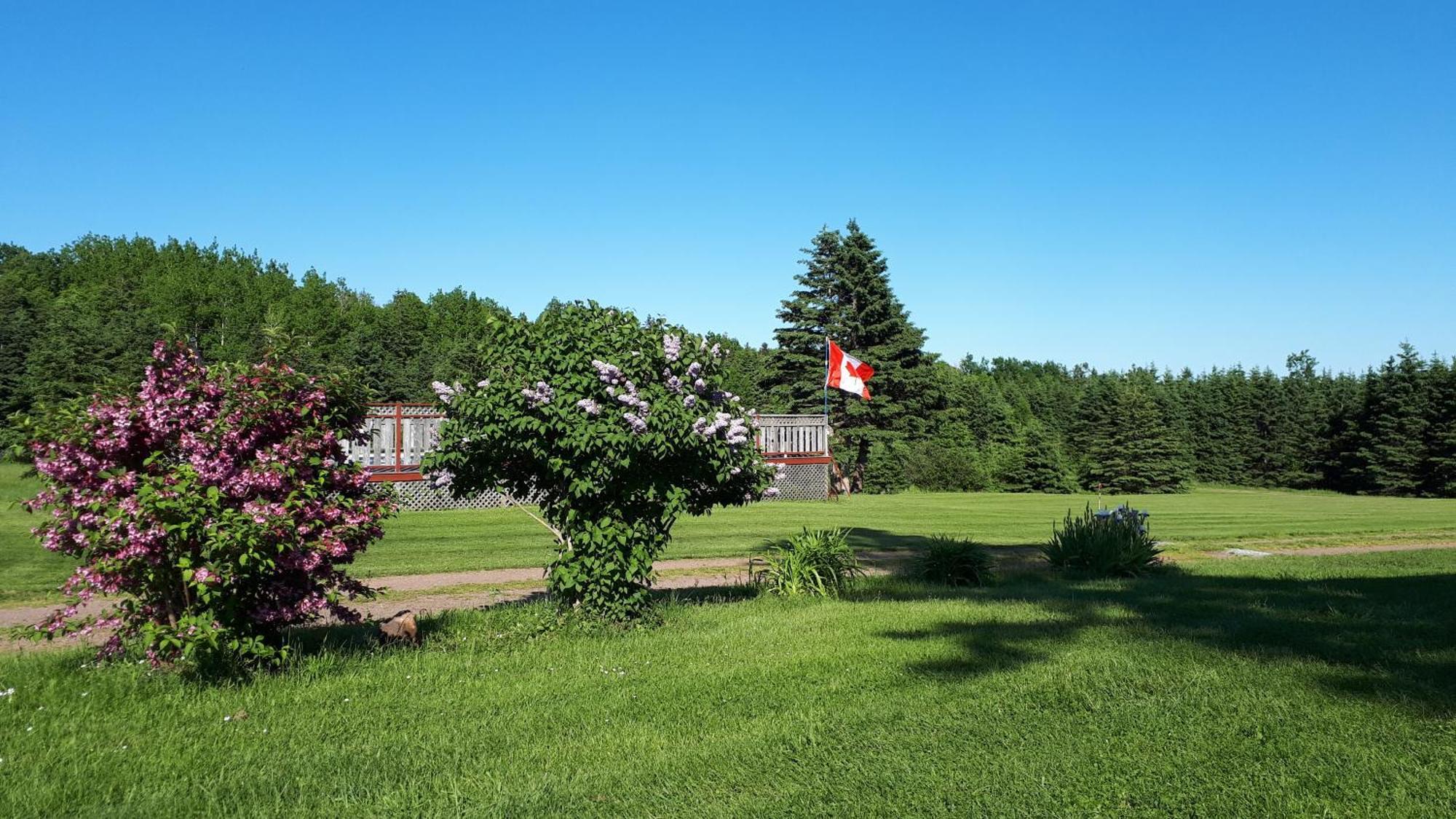 Rustico Acres Cottages Норт-Растико Экстерьер фото